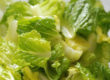 Romaine for Passover Green Salad