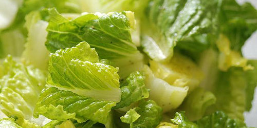 Romaine for Passover Green Salad