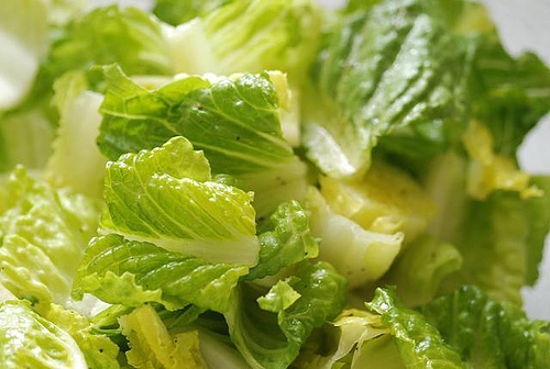 Romaine for Passover Green Salad